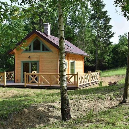 Vila Ogrod Shinrin Yoku Srokowo Exteriér fotografie