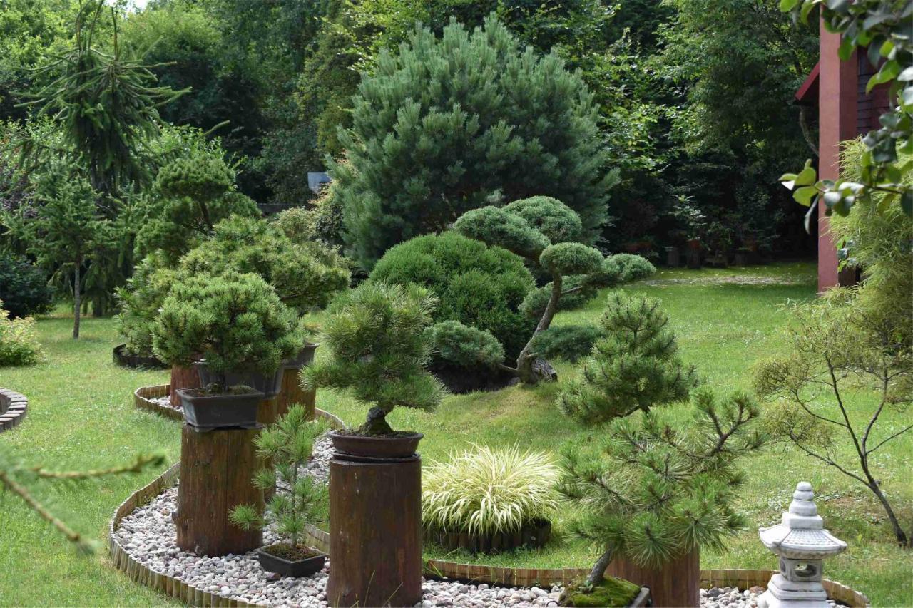 Vila Ogrod Shinrin Yoku Srokowo Exteriér fotografie